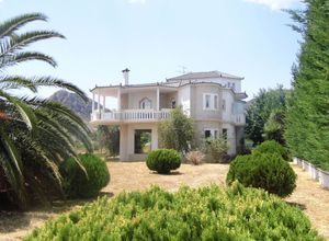 Βίλλα προς πώληση Λευκάκια (Ναύπλιο) 480 τ.μ. 4 Υπνοδωμάτια Νεόδμητο