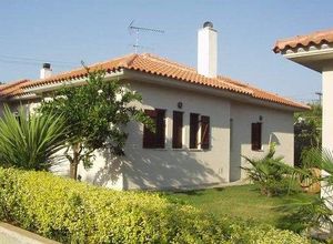 Μονοκατοικία προς πώληση Μηλίνα (Σηπιάδα) 64 τ.μ. 1 Υπνοδωμάτιο