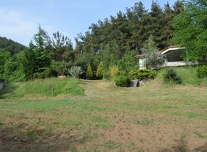 Βίλλα προς πώληση Ζυγός (Φίλιπποι) 200 τ.μ. 4 Υπνοδωμάτια