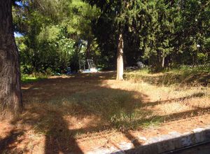 Land Plot, Kefalari