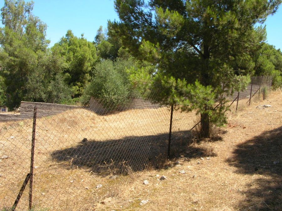 Photo 68327184