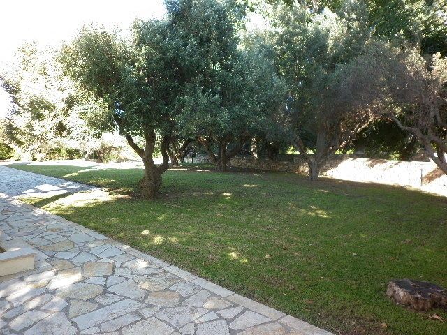 Photo 70055334