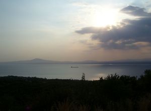 Οικόπεδο προς πώληση Μεγάλη Μαντίνεια (Αβία) 2.340 τ.μ.