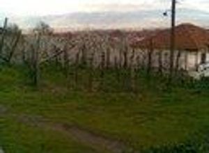 Plot Aridaia