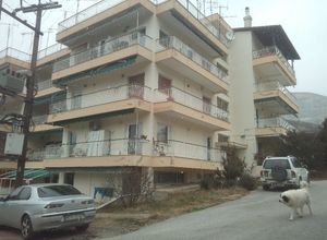 Διαμέρισμα, Κέντρο
