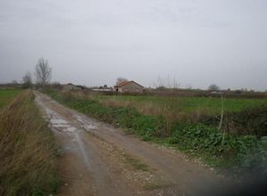 Sale, Land Plot, Roviata (Amaliada)