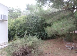 Land Plot, Filothei