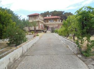 Διαμέρισμα προς πώληση Βατερά (Λέσβος - Πολιχνίτος) 125 τ.μ. 3 Υπνοδωμάτια
