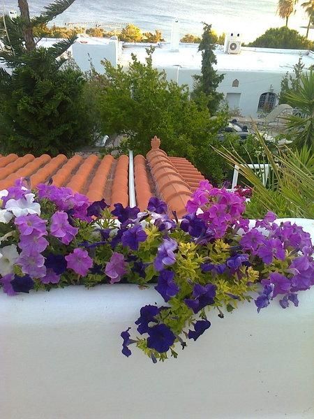 Foto 78662052