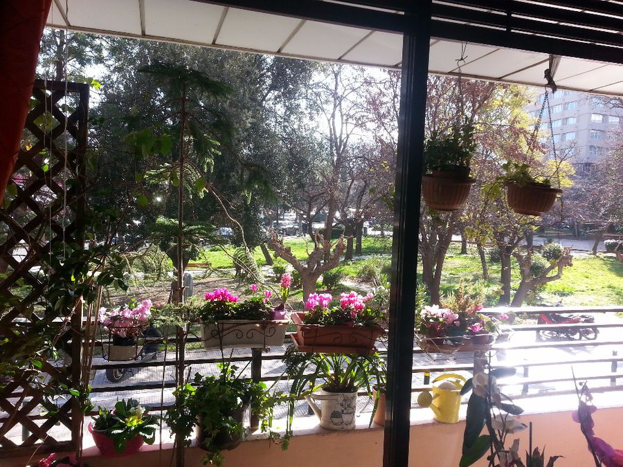 Photo 79247994