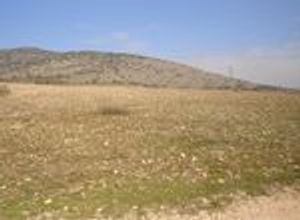 Land Plot, Volos