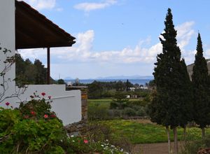 Studio/Γκαρσονιέρα για ενοικίαση Πήσσες (Κέα) 30 τ.μ. 1 Υπνοδωμάτιο
