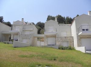 Μεζονέτα, Παλιούρι