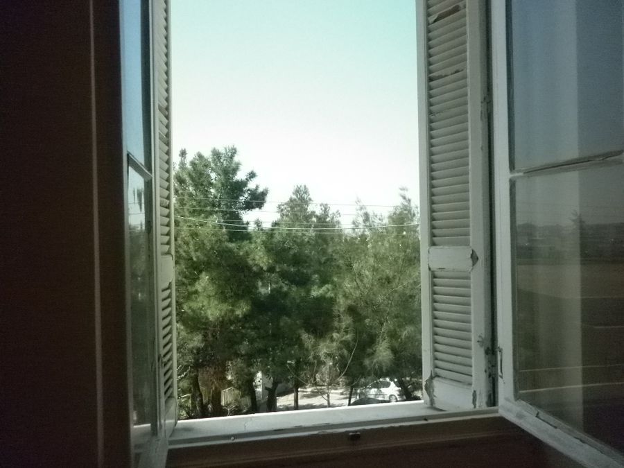 Photo 83036619