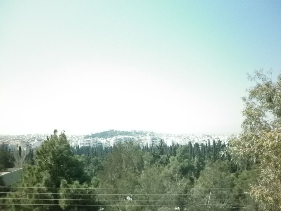 Photo 83036670