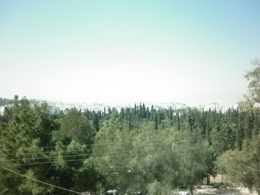 Photo 83036673