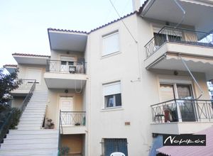 Μονοκατοικία προς πώληση Λάρισος (Λέσβος - Μυτιλήνη) 236 τ.μ. 6 Υπνοδωμάτια Νεόδμητο