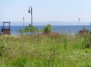 Land Plot, Nees Pagases
