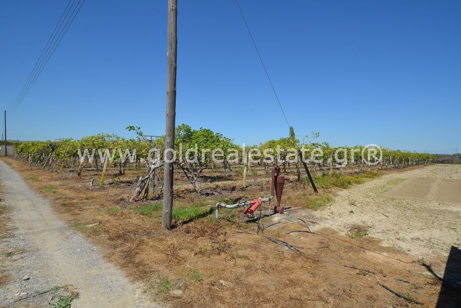 ΑΚΙΝΗΤΑ ΠΙΕΡΙΑΣ ΚΑΤΕΡΙΝΗΣ GREECE REAL ESTATE GREEK HOME