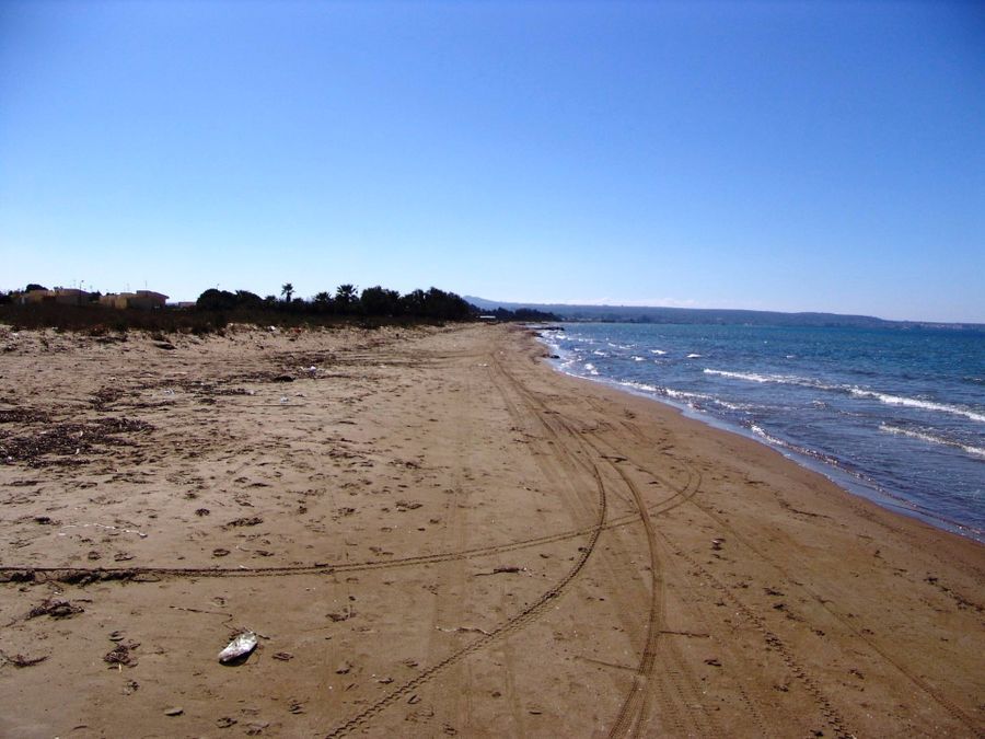 Sale, Parcel, 45000m² Lechaina, Mirsini | 4349188 | Spitogatos