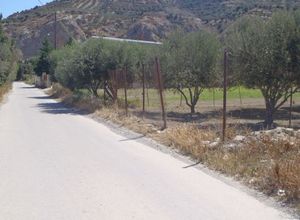 Οικόπεδο, Δρακουλιάρης