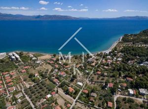 Μονοκατοικία προς πώληση Μαρκόπουλο Ωρωπού 140 τ.μ. 4 Υπνοδωμάτια