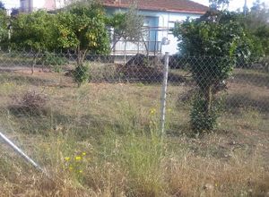 Μονοκατοικία προς πώληση Μεσσήνη Μαυρομμάτι 105 τ.μ. 2 Υπνοδωμάτια
