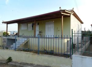 Μονοκατοικία προς πώληση Άγιοι Θεόδωροι 150 τ.μ. 3 Υπνοδωμάτια Νεόδμητο