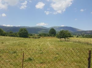 Αγροτεμάχιο προς πώληση Νέο Μπιζάνι (Μπιζάνιο) 12.500 τ.μ.