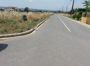 Land Plot, Thermi