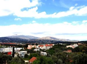 Μονοκατοικία προς πώληση Χριστούπολη (Σπάτα) 280 τ.μ. 1 Υπνοδωμάτιο