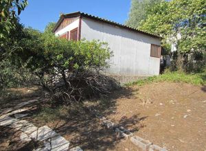 Photo 88687428