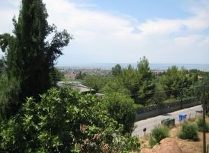 Μονοκατοικία προς πώληση Οικισμός Τοπογράφων (Πανόραμα) 500 τ.μ.