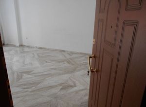 Apartment, Triandria