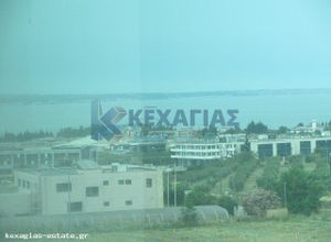 Γραφείο, Mediterranean Cosmos