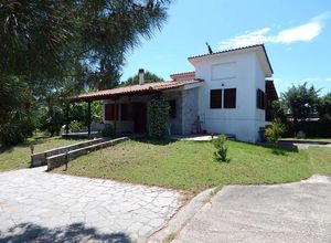 Detached House, Mesimeri
