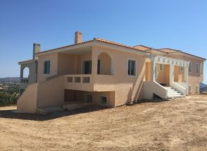 Detached House, Markopoulo