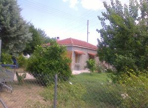 Μονοκατοικία προς πώληση Νεάπολη 70 τ.μ. 2 Υπνοδωμάτια