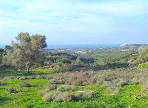 Οικόπεδο προς πώληση Ρέθυμνο 800 τ.μ.