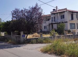 Μονοκατοικία προς πώληση Πολιτικά (Μεσσαπία) 270 τ.μ. 5 Υπνοδωμάτια Νεόδμητο