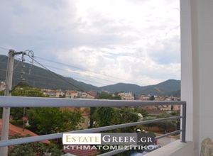 Διαμέρισμα προς πώληση Αμυγδαλεώνας (Φίλιπποι) 95 τ.μ. 2 Υπνοδωμάτια