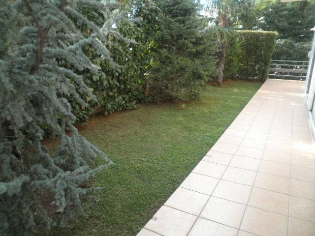 Photo 93982674