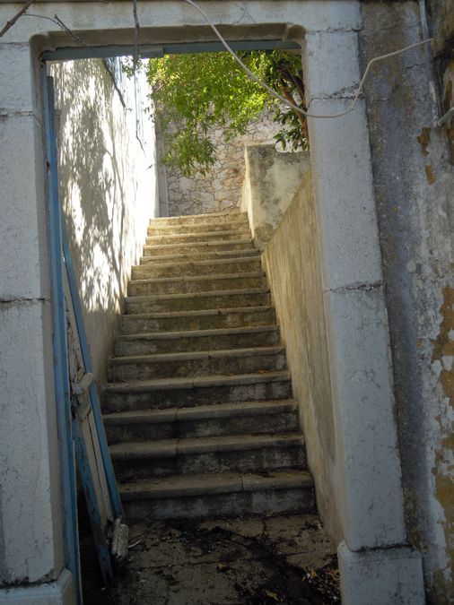 Photo 94819587