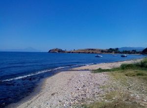 Πώληση, Αγροτεμάχιο, Άγιος Νικόλαος (Σιθωνία)