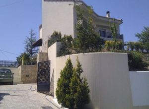 Μονοκατοικία προς πώληση Βασιλείες (Ηράκλειο Κρήτης) 330 τ.μ. 4 Υπνοδωμάτια Νεόδμητο