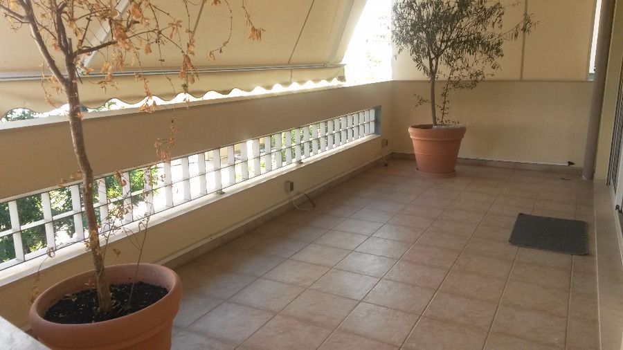 Photo 95719629