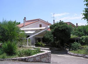 Μονοκατοικία προς πώληση Πολιτικά (Μεσσαπία) 77 τ.μ. 1 Υπνοδωμάτιο