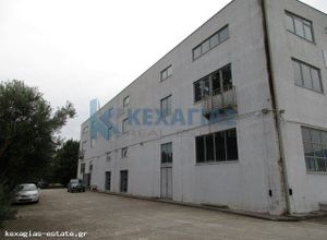 Βιοτεχνικός χώρος, Κέντρο