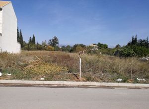 Photo 96658371