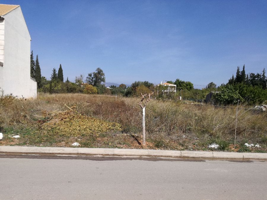 Photo 96658371